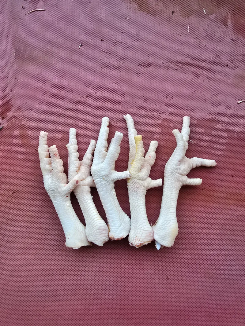 Ceker Ayam