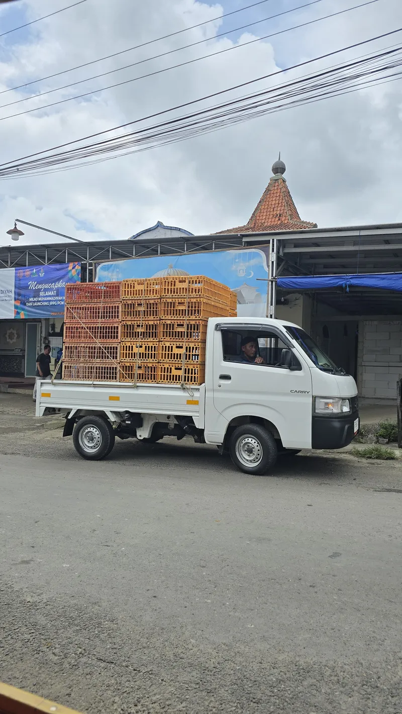 Mobil Ayam