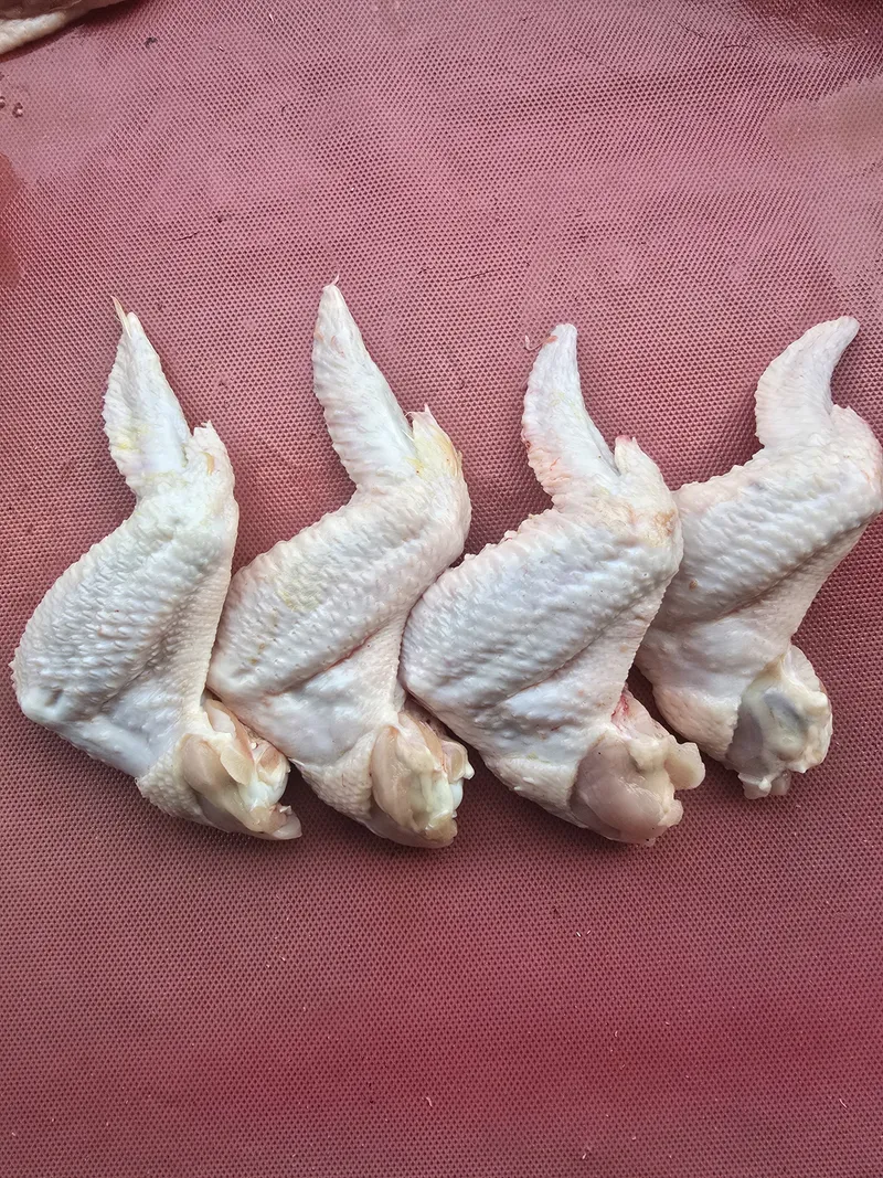 Sayap Ayam